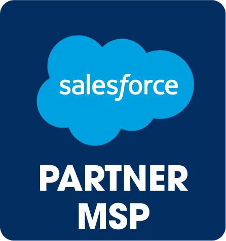 Salesforce Managed Service Provider
